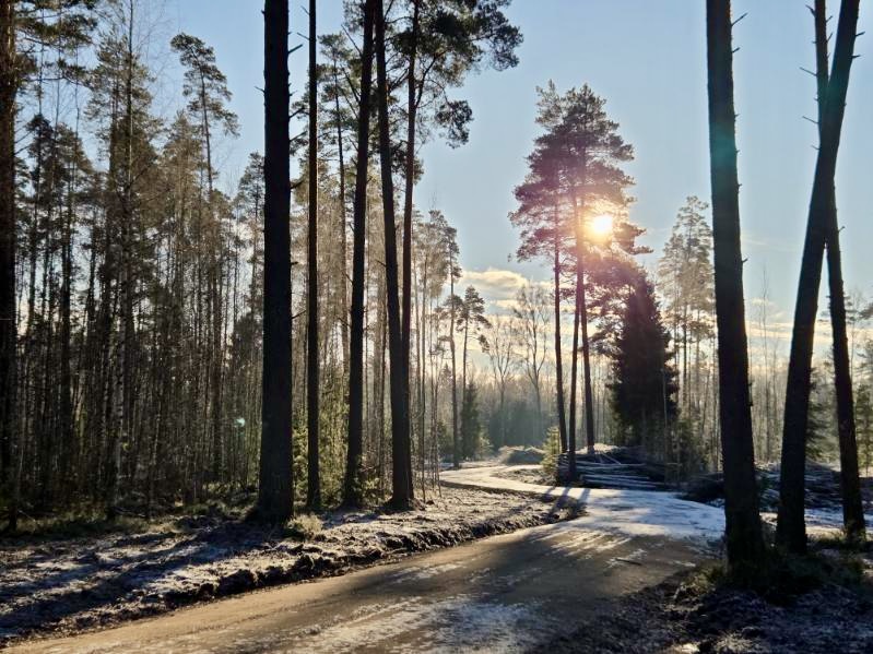 Karge hommik Hiierahus — kohtumine, mis pani vaikuse kõlama